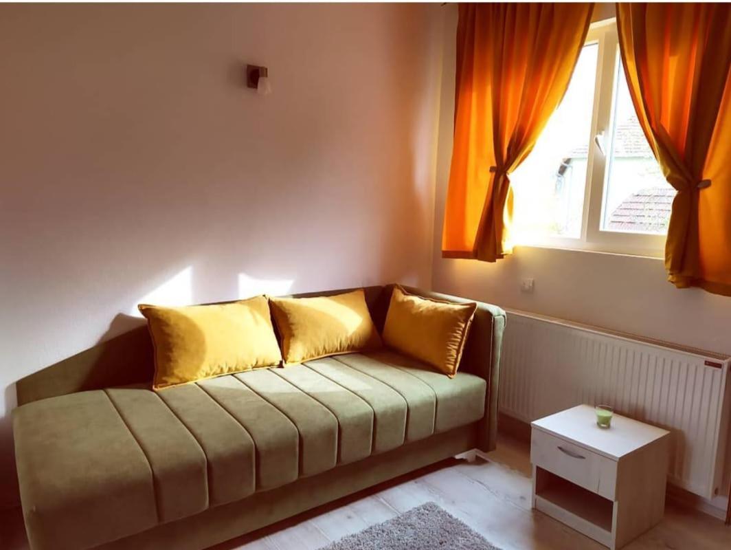 Apartments Vila Selena - Golija Rudno Exteriér fotografie