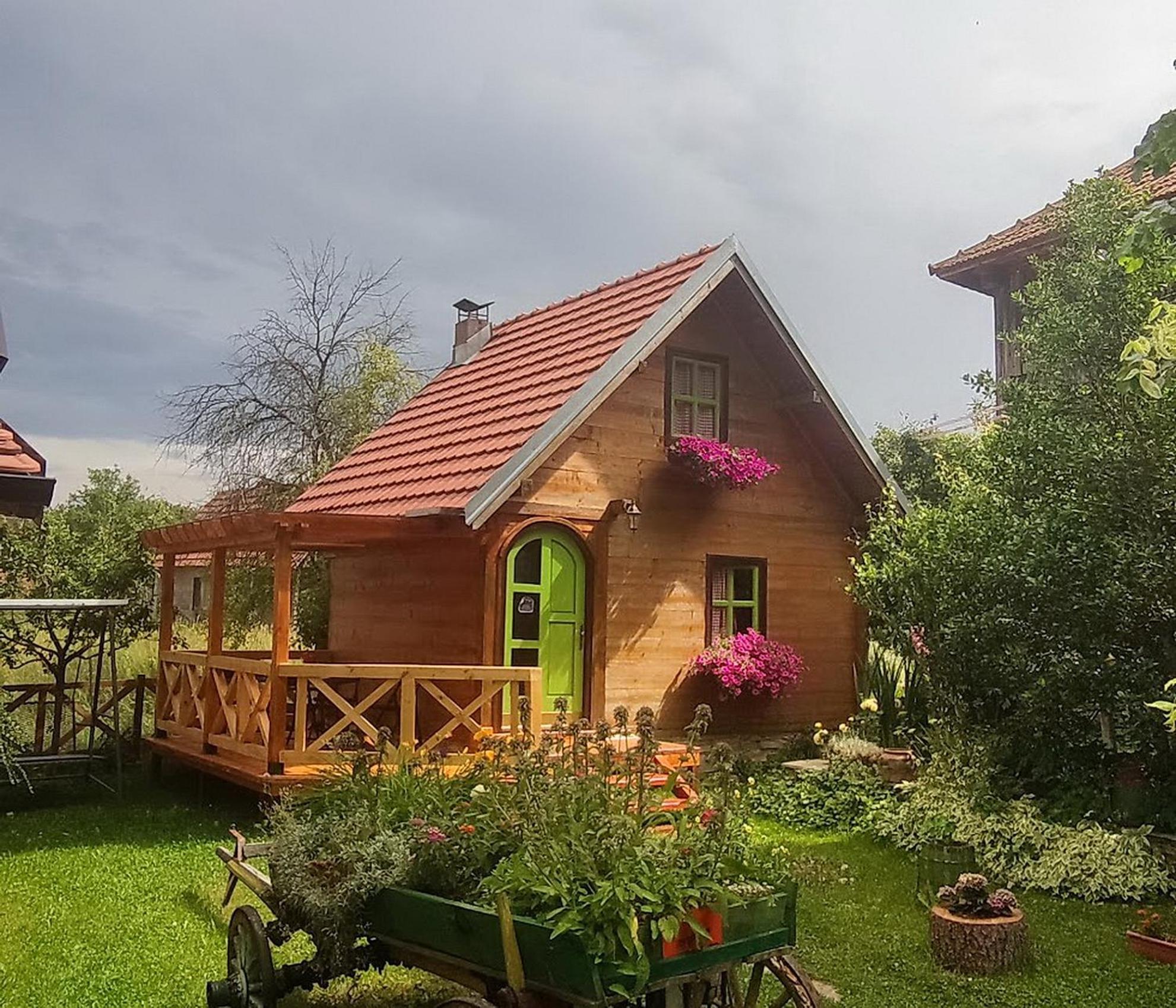 Apartments Vila Selena - Golija Rudno Exteriér fotografie