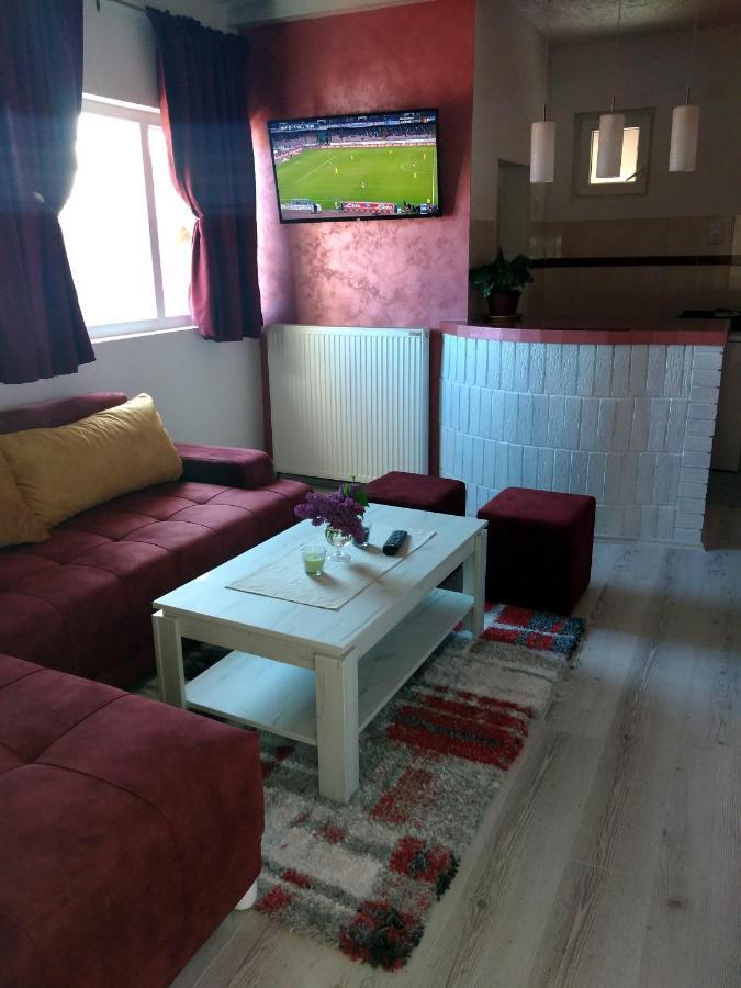 Apartments Vila Selena - Golija Rudno Exteriér fotografie