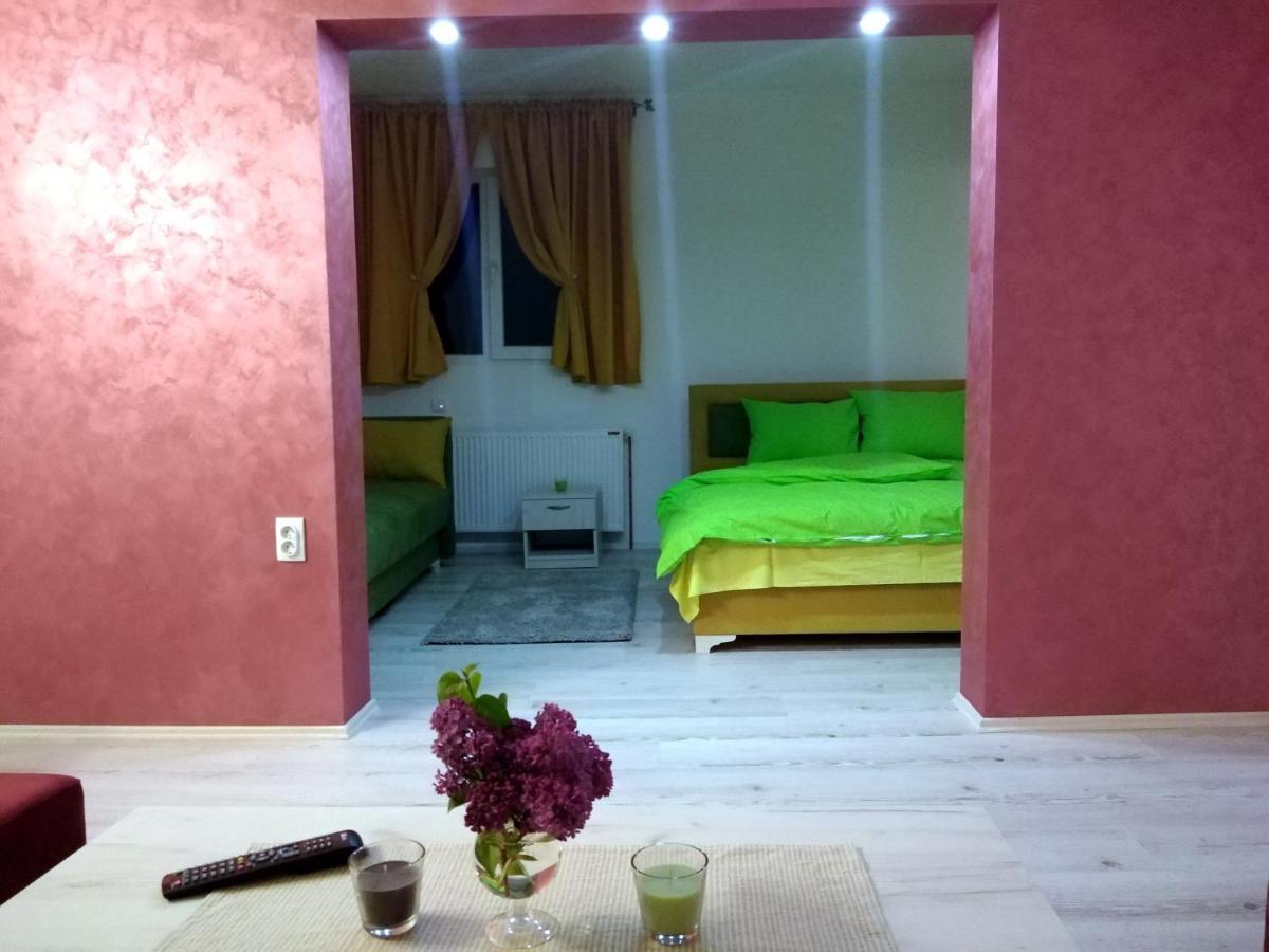 Apartments Vila Selena - Golija Rudno Exteriér fotografie