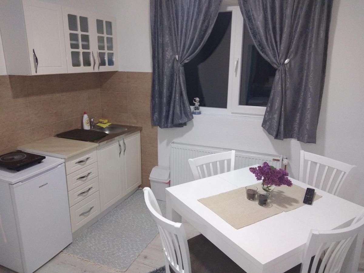 Apartments Vila Selena - Golija Rudno Exteriér fotografie