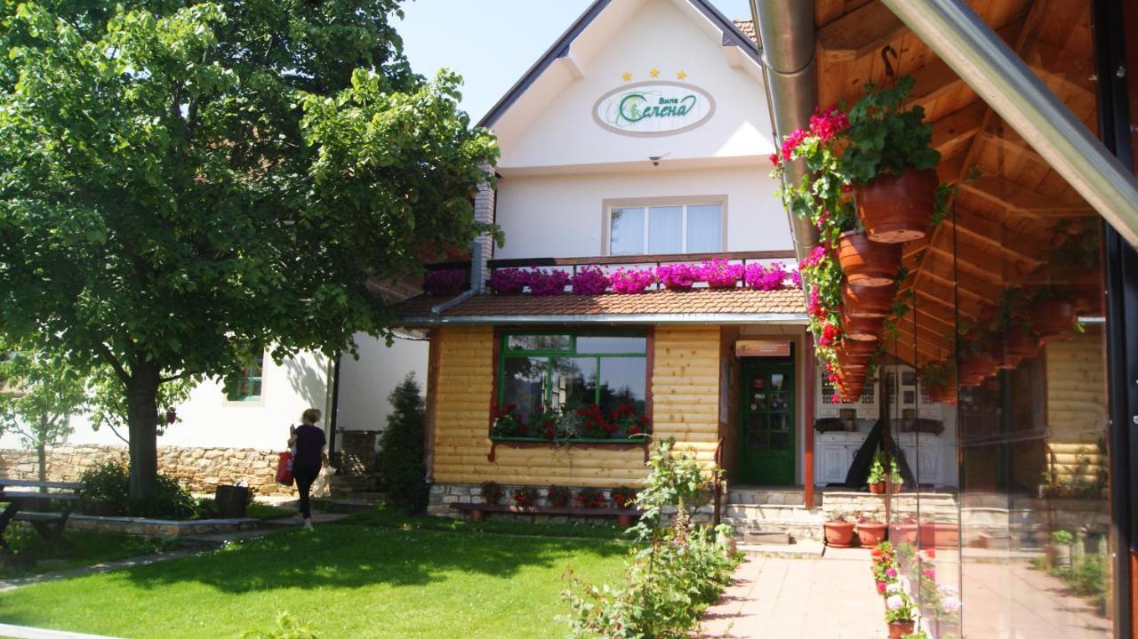 Apartments Vila Selena - Golija Rudno Exteriér fotografie